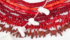 Sea Bamboo Red Coral Beads